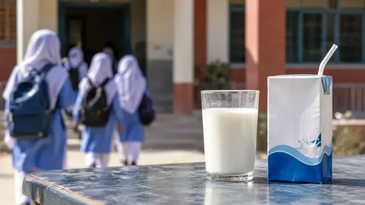 Family of Eleven Hospitalized After Drinking Milk from Punjab CM Milk Scheme