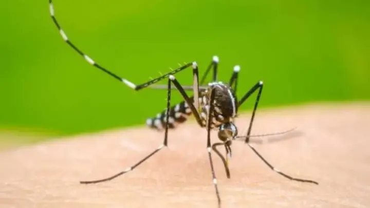 Khyber Pakhtunkhwa Faces Escalating Dengue Crisis With Thousands Infected