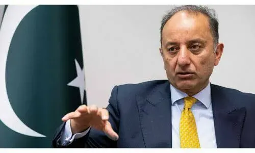 Qatar Supplied Gas to Pakistan at Lower Rates Despite Hurdles, Says Malik