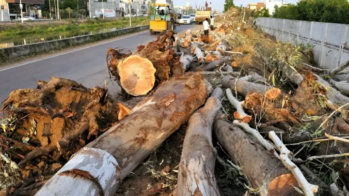 Road Widening Project Leads to Removal of Trees Along Hub River Road in Karachi
