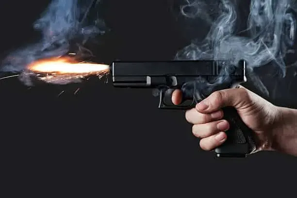 Customs Authority Sets New Values for Imported Firearms