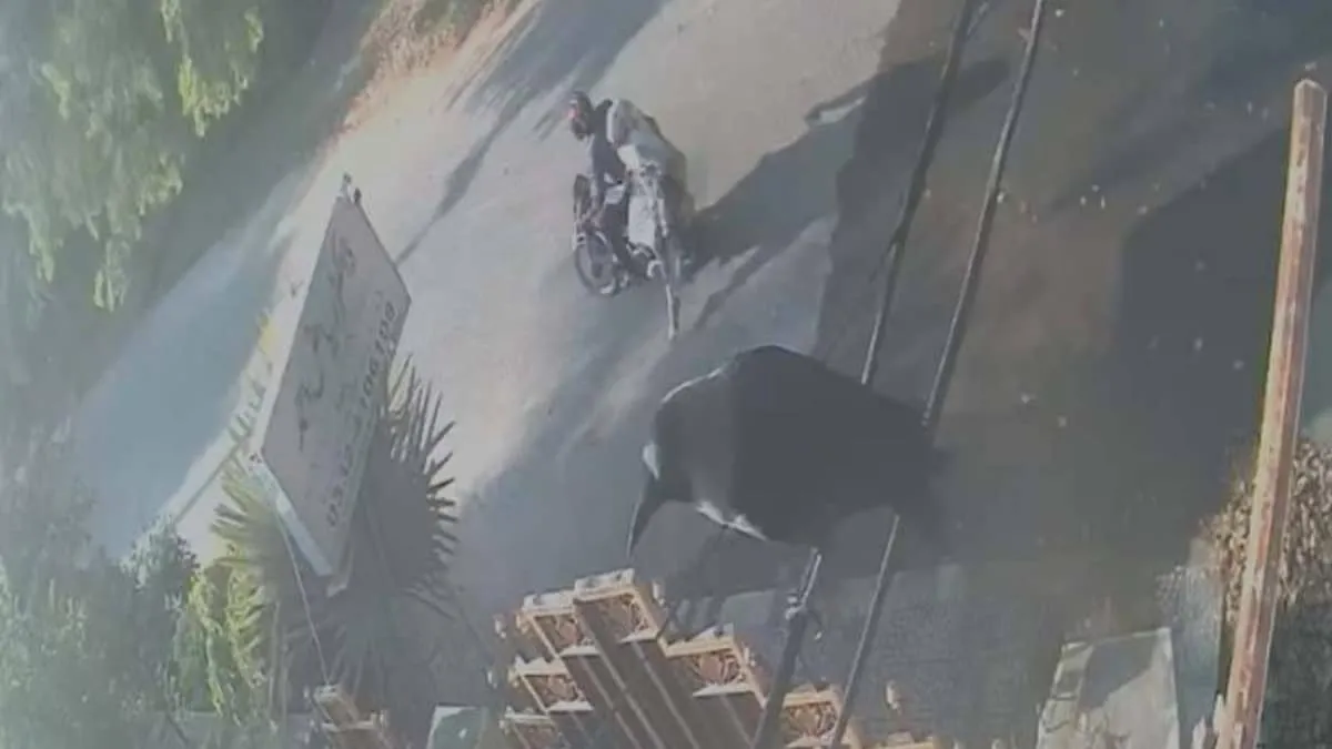 Woman Leaps From Running Motorcycle in Lahore to Escape Ride Driver