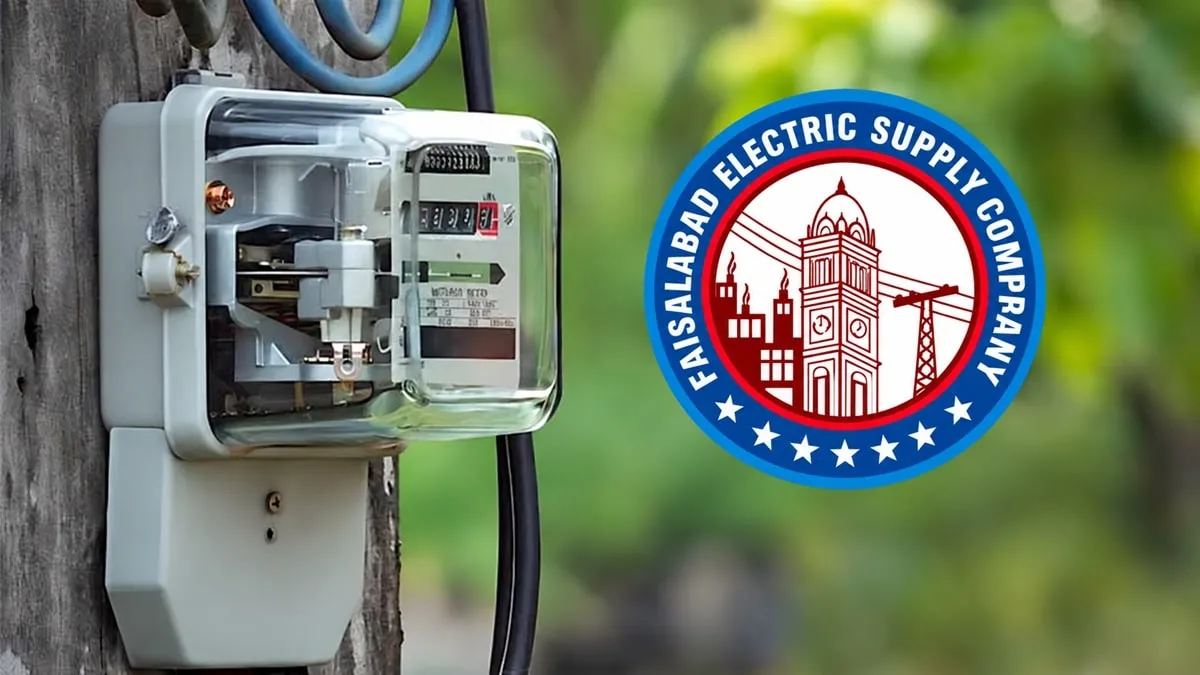 Faisalabad Electric Supply Company Chief Faces Money Laundering Charges