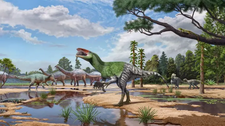 Unnoticed Museum Specimen Identified As New Dinosaur Species