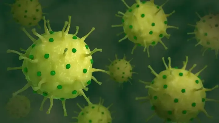 France Identifies Initial Human Infection of Shamonda Virus