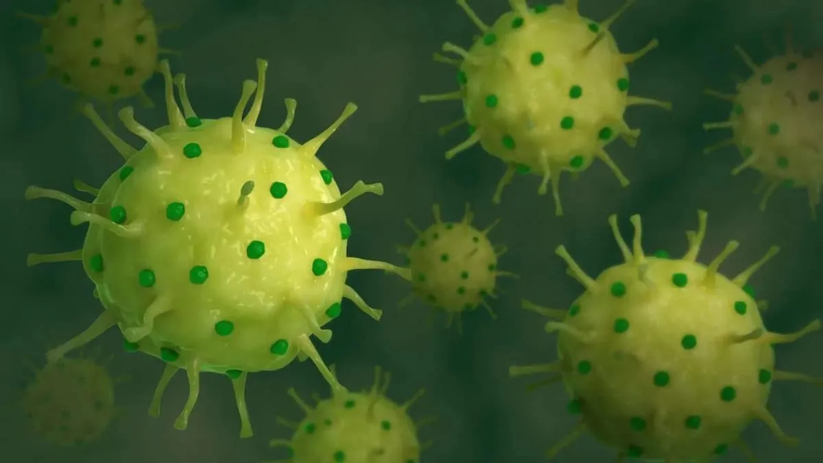 France Identifies Initial Human Infection of Shamonda Virus