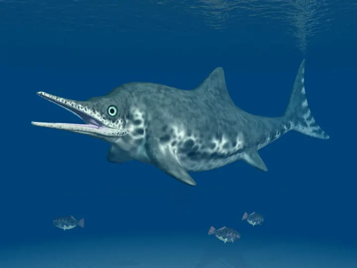 Massive 174 Million-Year-Old Sea Dragon Fossil On Display After Beach Discovery