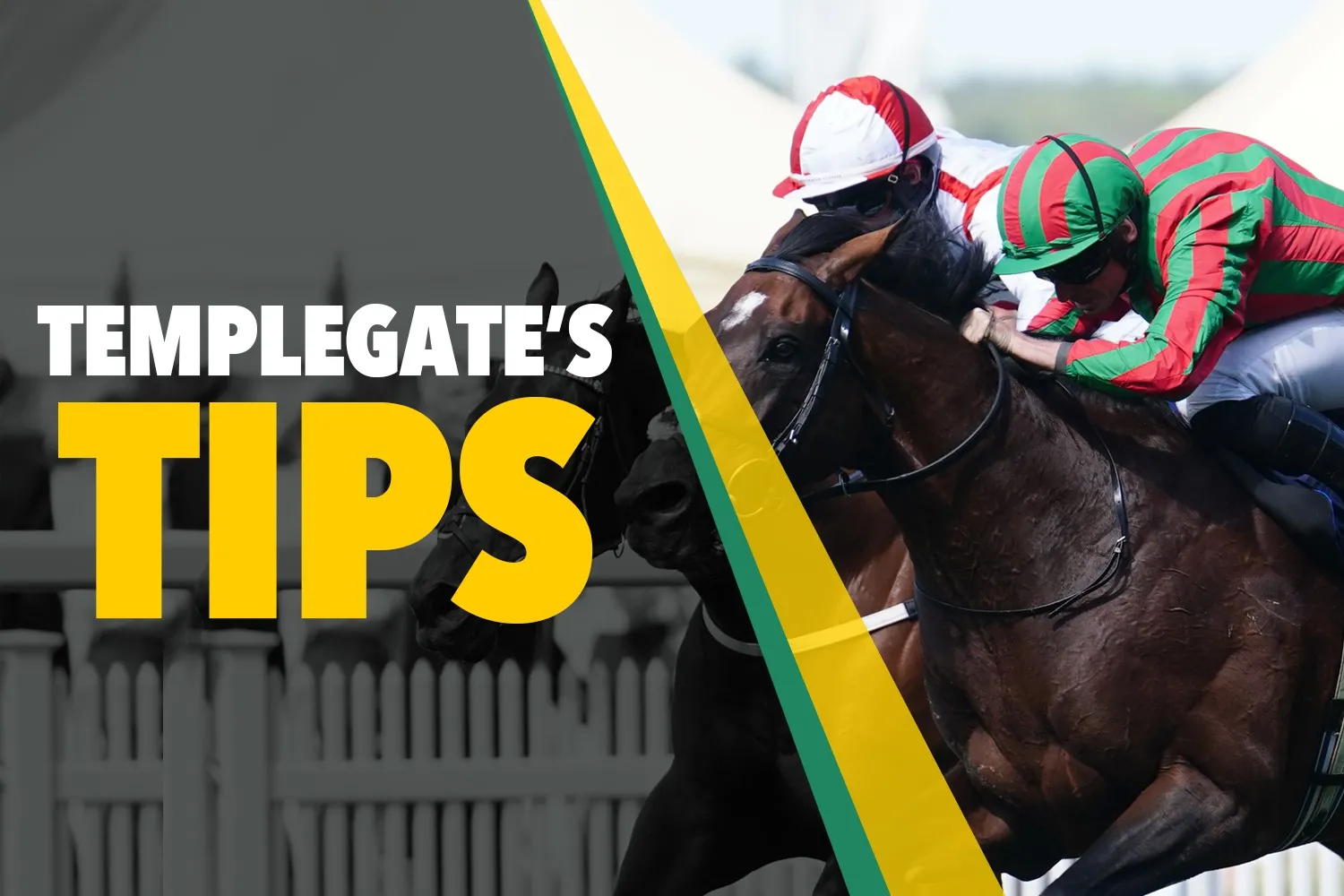 Horse Racing Tips: Templegate Shares Best Bets For Monday