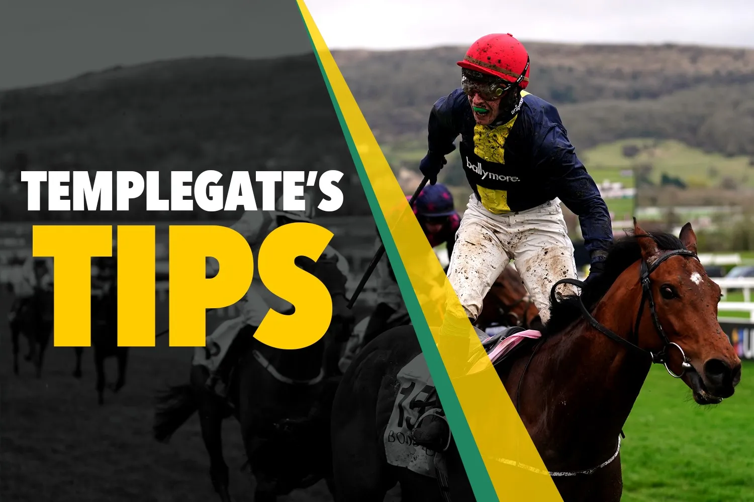 Horse Racing Selections: Templegate Names Best Bets for Friday