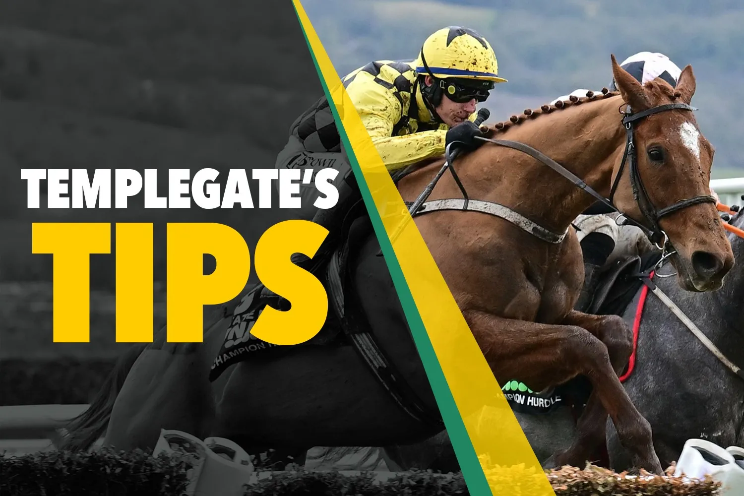 Tuesday Horse Racing Tips: Templegate Shares Best Bets for Newcastle And More
