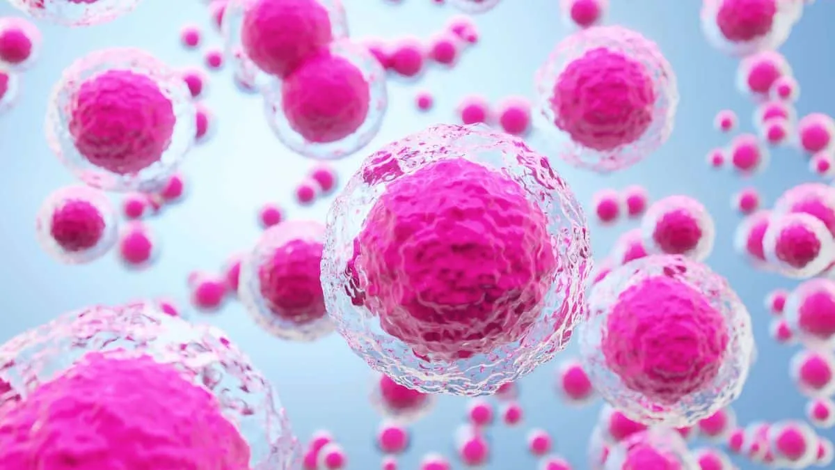 Japan Administers World First Stem Cell Therapy For Parkinson Disease