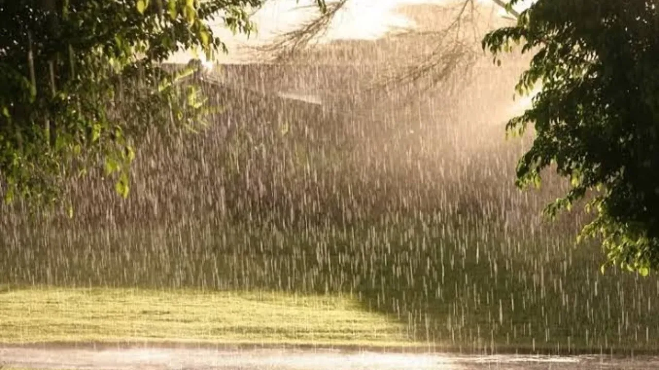 Pakistan Sees Highest Monsoon Temperatures in Seven Years