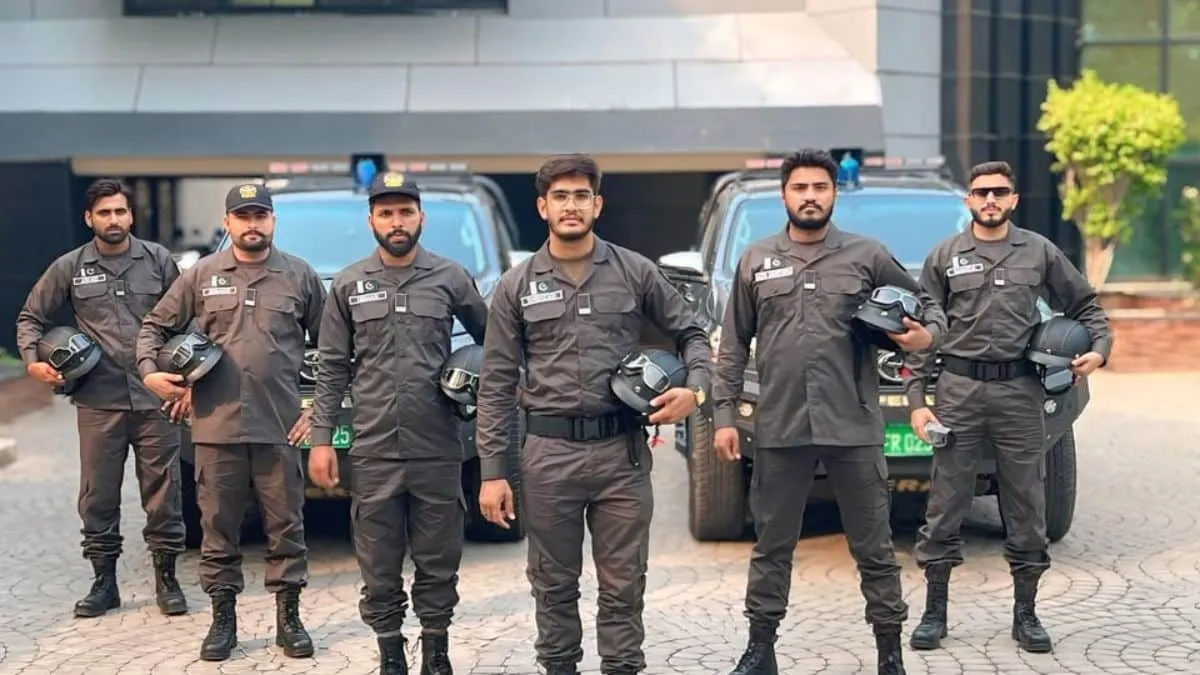 Punjab Enforcement And Regulatory Authority Openings Announced