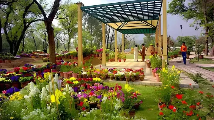 Pshawar Plans Beautification With Flower Belts And Fountains