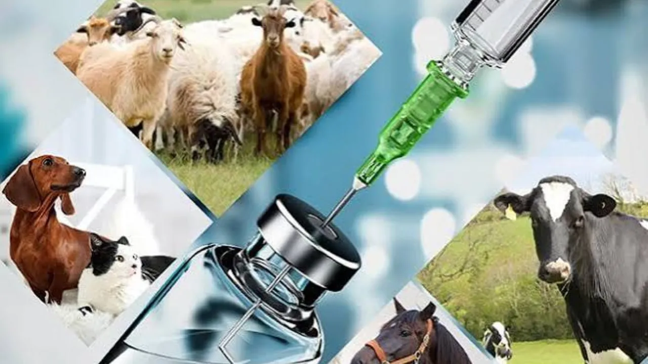 Prime Minister Directs New Vaccine Plant And Board Overhaul