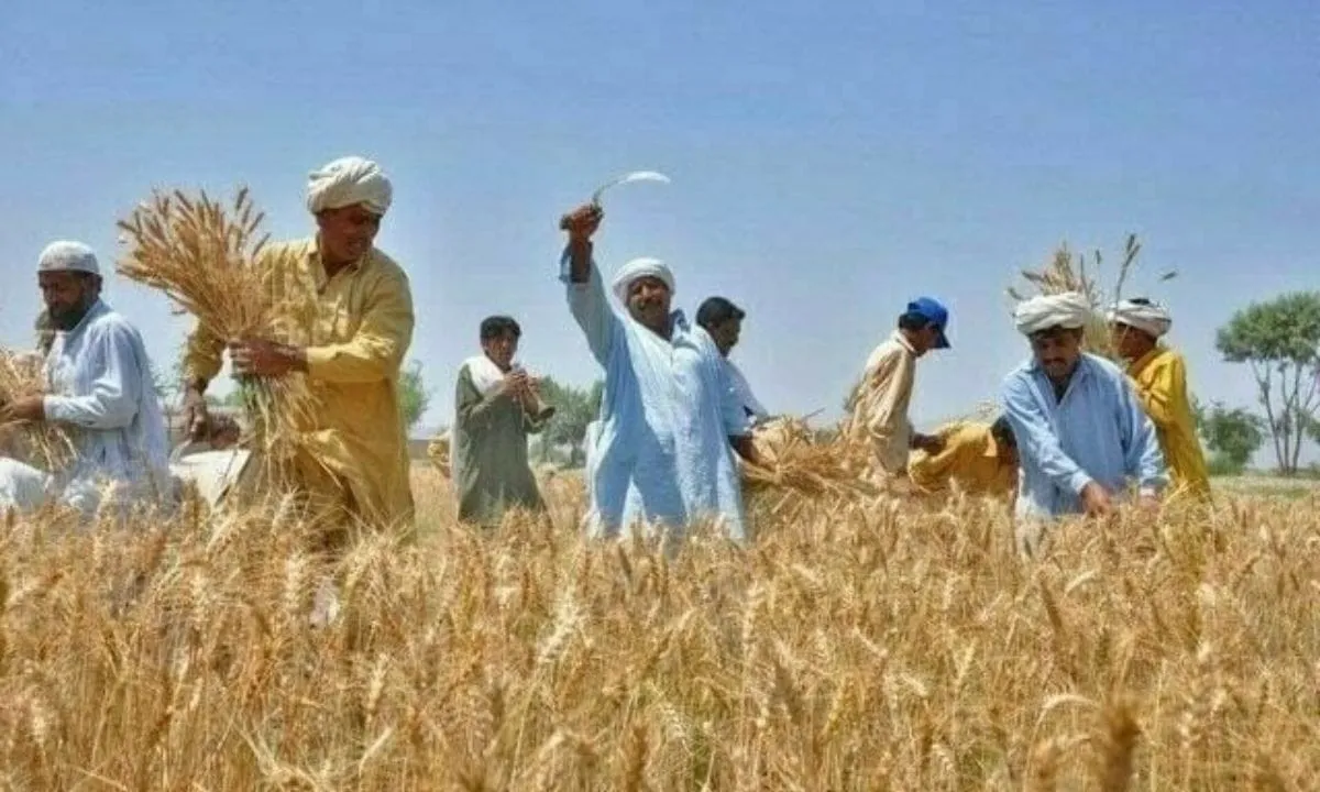 Punjab Chief Minister Reveals Ten New Projects For Agricultural Sector