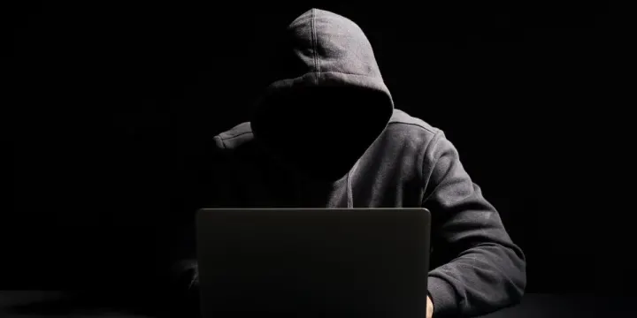 Senate Committee Calls for Tougher Measures on Crypto Scams and Overseas Education Fraud
