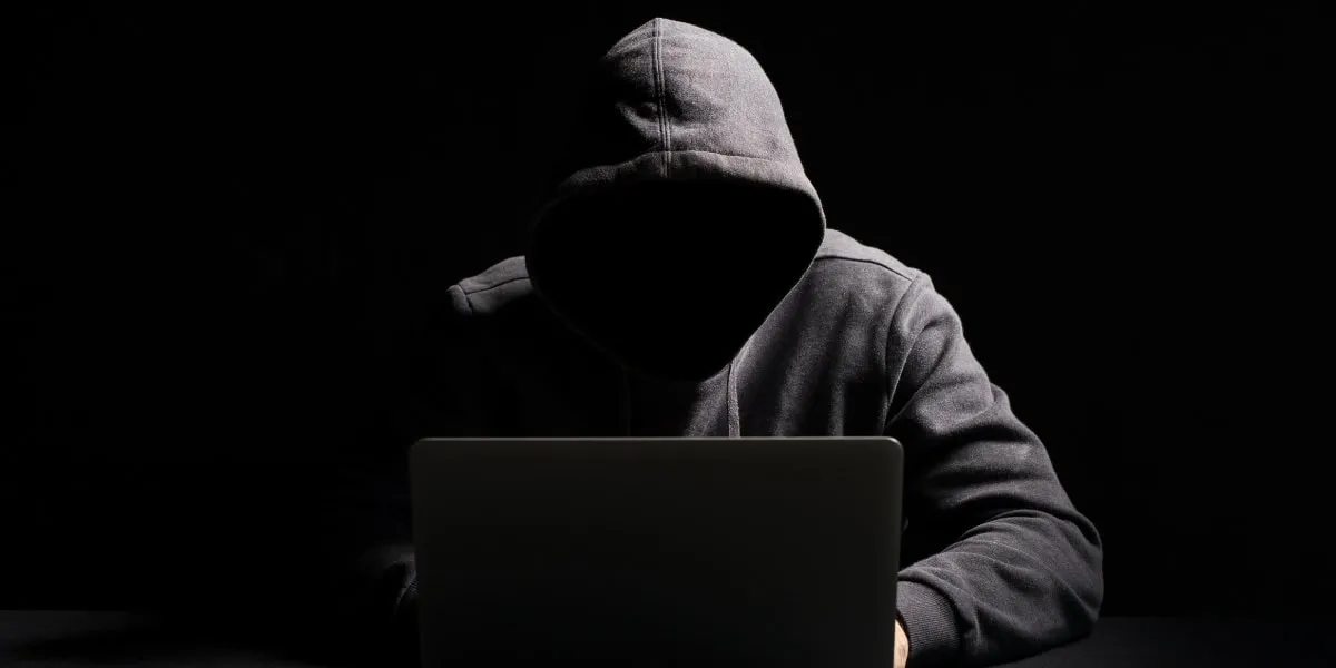 Senate Committee Calls for Tougher Measures on Crypto Scams and Overseas Education Fraud