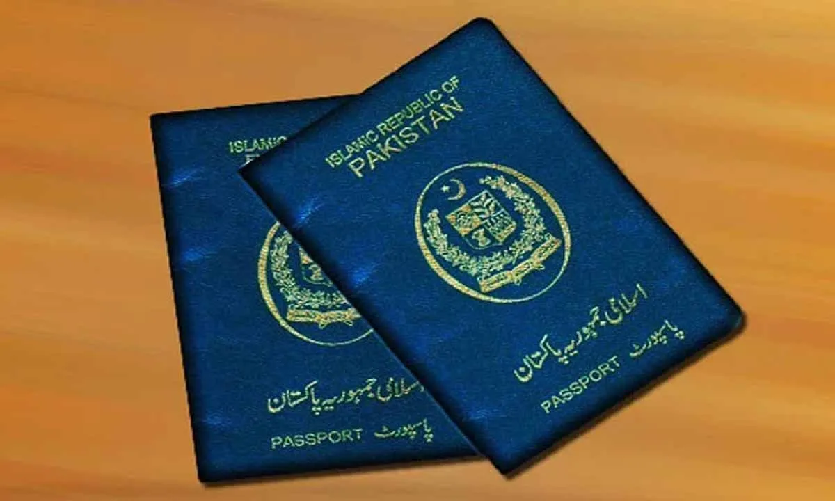 Senate Turns Down Bill Limiting Diplomatic Passports for Officials