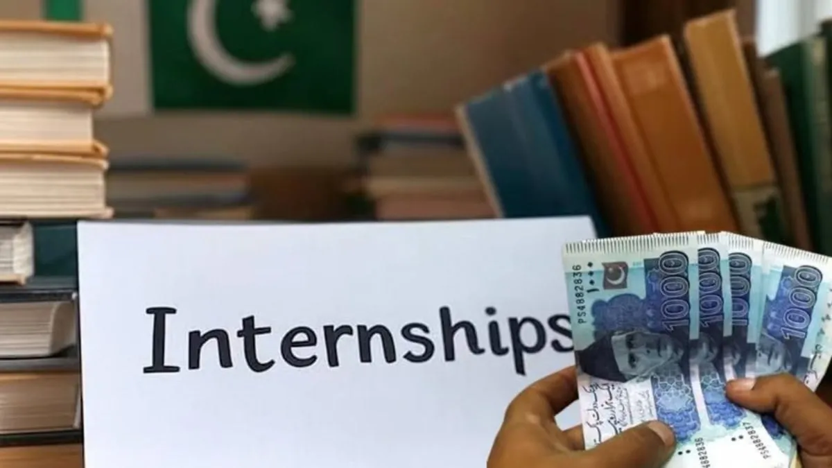 Sindh Internship Initiative For Degree Holders Set For November
