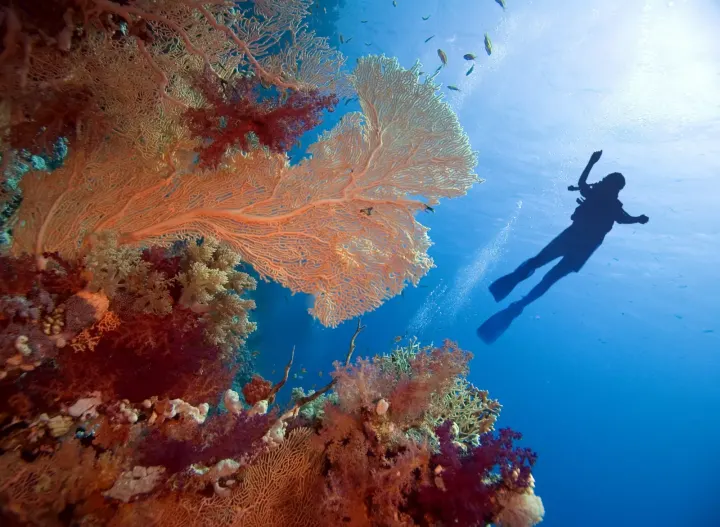 British Holidaymakers Choose North Africa Over Spain For Budget Winter Trips