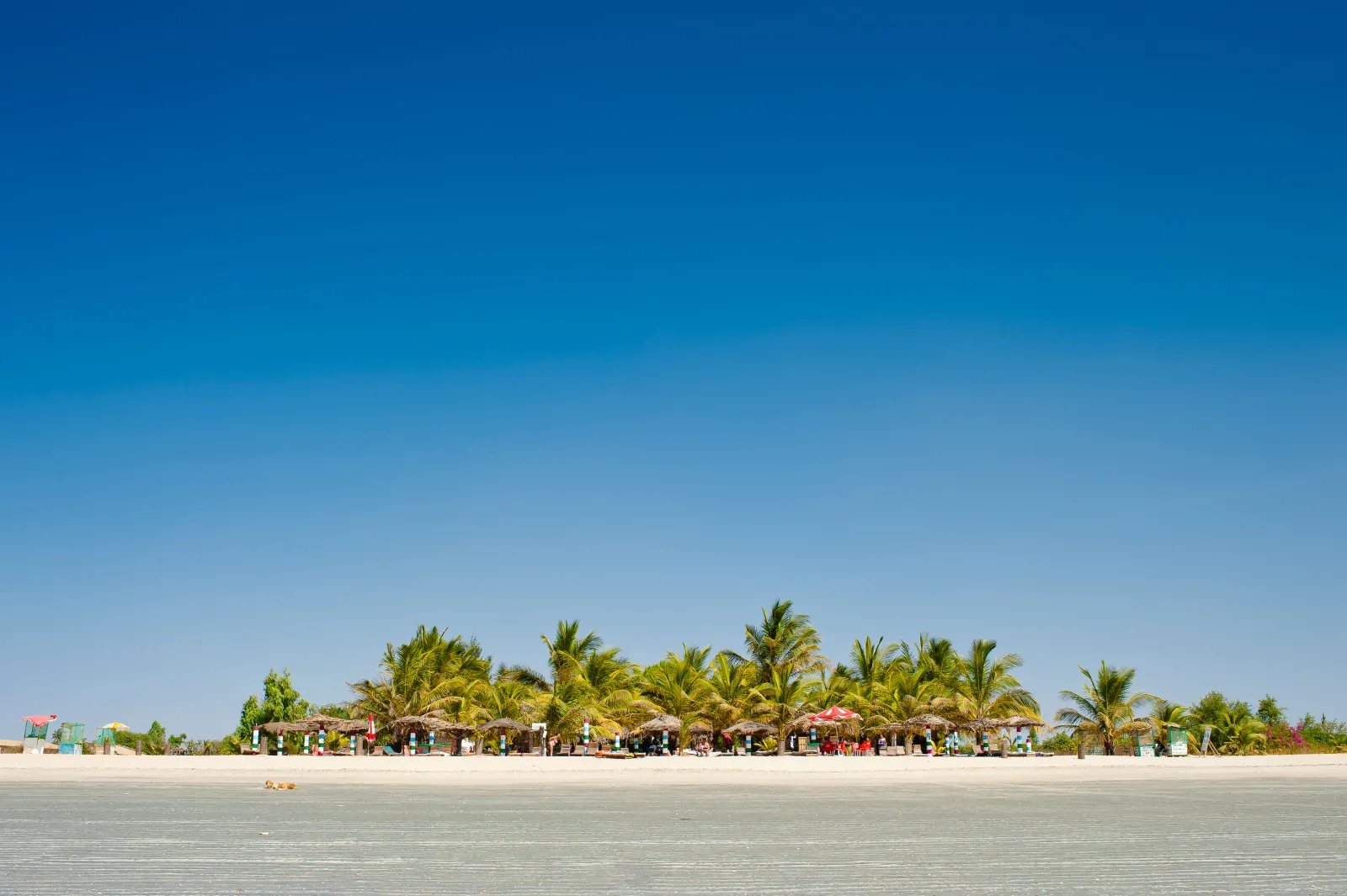 The African Destination With 30C Winters And Six Hour Flights Restarting Soon