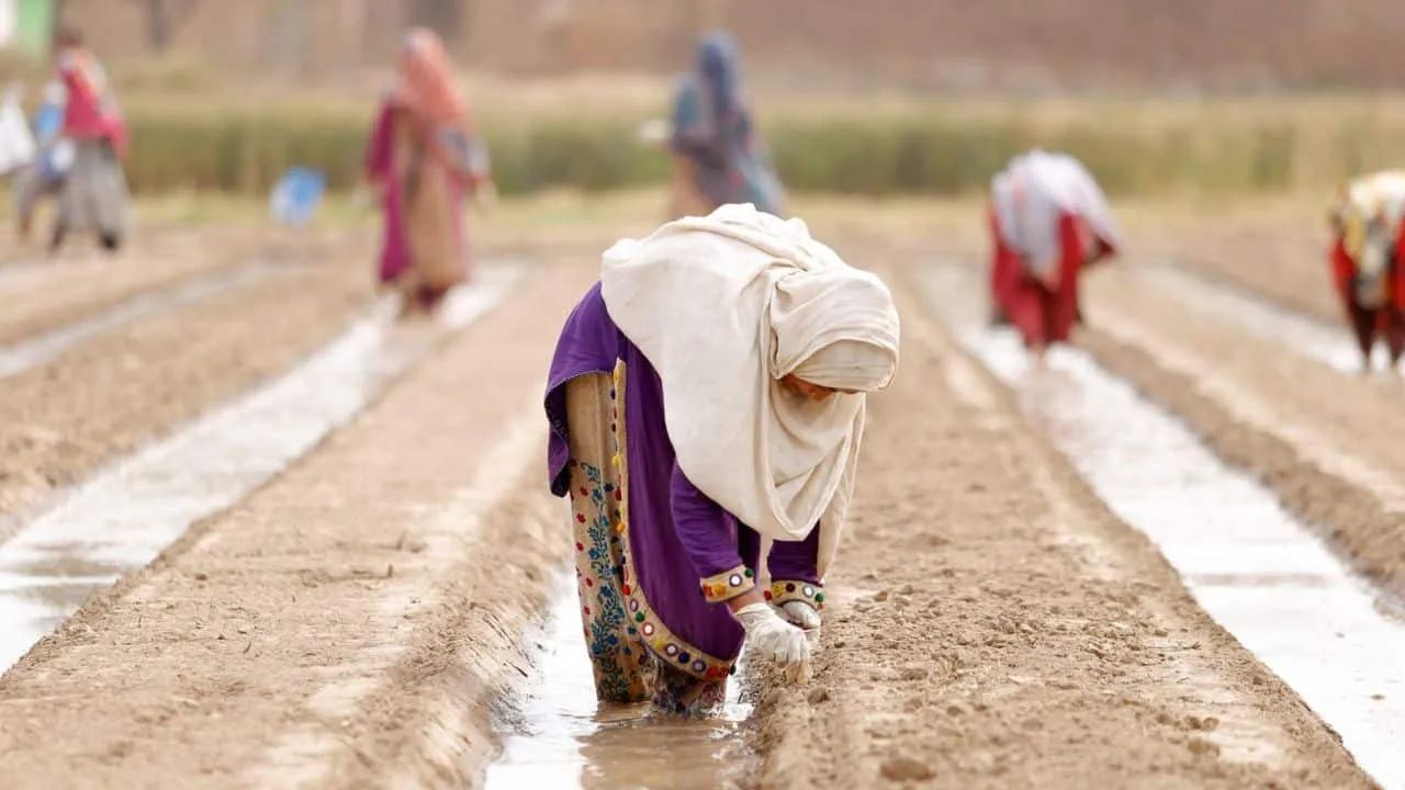 Women's Health and Safety Key to Pakistan's Agricultural Future