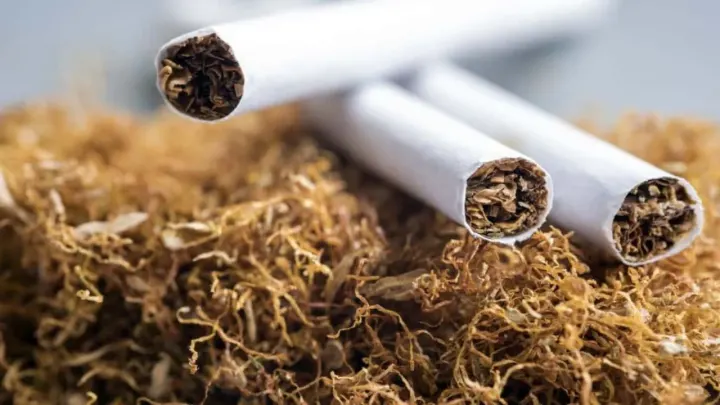 Swabi Tobacco Growers Face Low Prices As Surplus Crop Goes Unbought