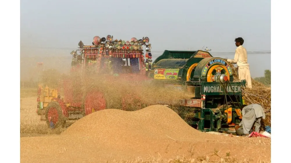 Ministry Calls for Lower Wheat Seed Prices as Supply Covers Only Half of Need