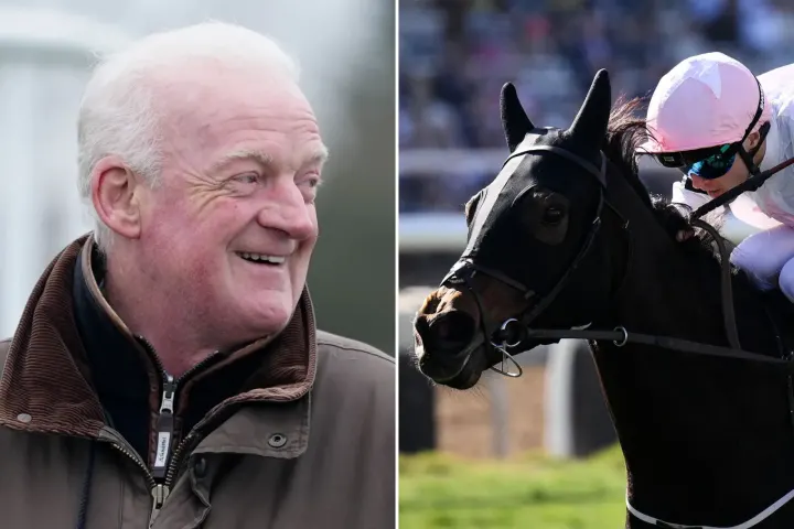 Willie Mullins Feels Quiet Confidence In Ethical Diamond At Breeders Cup